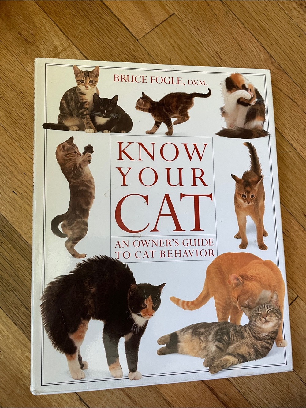 Know Your Cat - White Cat Behavior Guide by DK Publishing